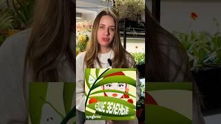 Выбираем фитолампу, грунт для рассады и семена правильно #рассада #семена #фитолампа #удобрение