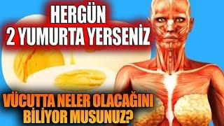 Hergün 2 Yumurta Yerseniz Vücutta Neler Olacağını Biliyor musunuz?