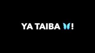 Ya Taiba | Arabic Naat | iMovie Black Screen Status 2021 | Black Screen Whatsapp Status