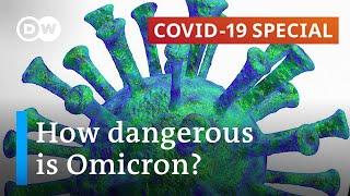 Omicron: Scientists race to work out how dangerous the variant is | COVID-19 Special