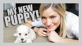 I GOT A PUPPY! | iJustine