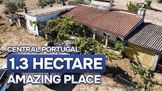  RESERVED | Farm for sale in the Region of Alentejo, Portugal