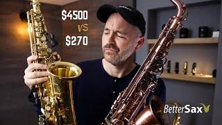 Cheapest Sax on Amazon VS My Professional Alto Saxophone