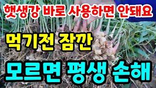 햇생강 먹기전 바로 사용하면 손해 생강효능 10배 이상 뽑아 먹는법 관절염 통증 기침 감기 예방 생강 설탕없이 먹는법 #생강보관법#생강청#생강차#건강 #힐링#요리#집밥 #food