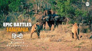 Epic Battles, तंजानिया [2023] हिन्दी डॉक्यूमेंट्री | Wildlife documentary in Hindi