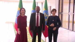 French and German FMs in Ethiopia to support Tigray peace process • FRANCE 24 English