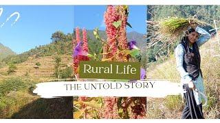 The Untold Story of Rural Life in Village| Short Documentary| Uttarakhand