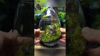 Ecosystem in a glas egg #trending #interesting #shorts