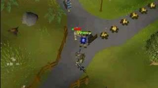 runescape the noobs