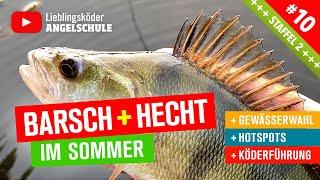 Barsch + Hecht Angeln im Sommer  (Staffel 2, Folge 10)