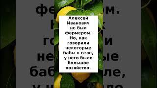 Вот так хозяйство
