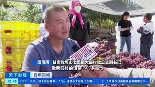 [天下财经]百年百城 甘肃敦煌：千年丝路重镇 今朝大放异彩|CCTV财经