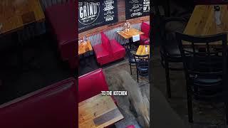 Deer vs. Window and Hank Schrader‍ #wildlife