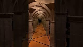 Help! Lost in a hall of mirrors - Home Ed
