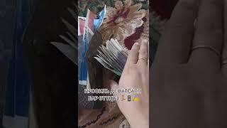 Ватсап +7930-932-27-99