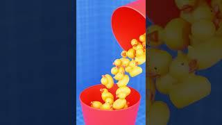 Oddly Satisfying Ducks ASMR