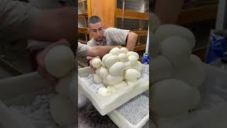 The most snake eggs ever 