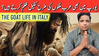 The Goat life in italy europe | arab countries ki tara kia europe mein be kafeel system hai ?