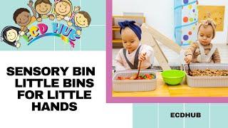 Sensory Bin - Little Bins for Little Hands By ECDHUB