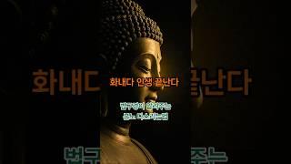 법구경이 알려주는 분노 다스리는법