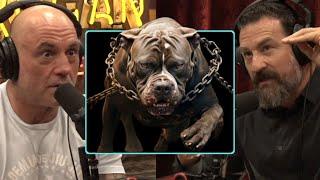 The Truth About Dog Fighting | Joe Rogan