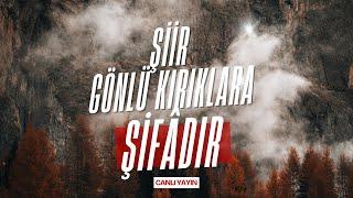 Gidelim Buradan; Her şeye sıfırdan başlanabilecek bir yerlere gidelim [Canlı yayın]