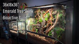 1 minute Bioactive Build for Emerald Tree Skinks