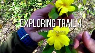 Gopro| Exploring the colors of spring |trail 4 islamabad