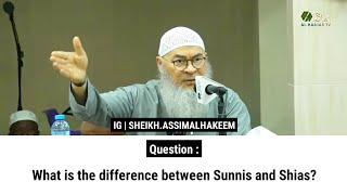 What is the difference between Sunnis and Shias? | Sheikh Assim Al Hakeem