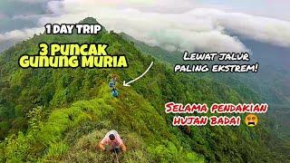 PENDAKIAN GUNUNG MURIA JALUR PALING EKSTREM! JALUR NAGA TUNGGANGAN