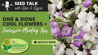 Seed Talk #19 - One & Done Cool Flowers Plus Succession Planting Tips