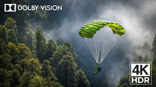 The Most REAL 4K HDR Video | Dolby Vision in 60FPS Nature