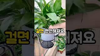 베란다 화분 걸이 활용법 #베란다정원 #화분선반 #베란다화분걸이