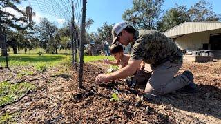 Planting Fall Vegetables!