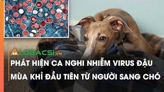 Phát hiện ca nghi nhiễm virus đậu mùa khỉ đầu tiên từ người sang chó