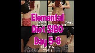 Elemental Diet SIBO Diary Day 5-6 | Lisa Monoson