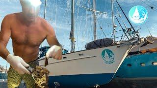 Watch this if you have an old Sail boat Ep 430