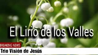 TRIO VISIÓN DE JESÚS - EL LIRIO DE LOS VALLES