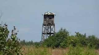 A hunting pulpit in rich camouflage