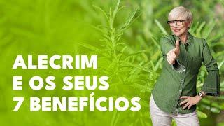 Conheça os 7 benefícios do ALECRIM!