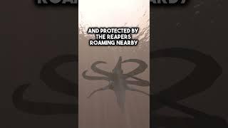 The Secret Biome Guarded By Reaper Leviathans