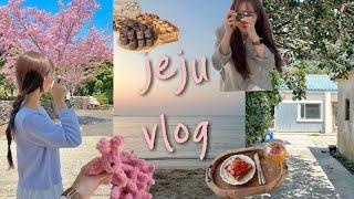 나홀로 제주 여행 vlog EP.1️| 4월 제주의 봄 | 제주 서쪽 카페, 소품샵 | 나의 버킷리스트 혼자 여행 ️ | 뮈르, 풀베개, 메이비 웨이비, 필름로그, 함덕해변