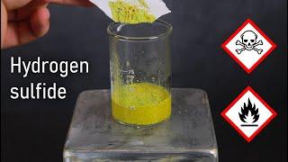 Making Hydrogen Sulfide From Common Household Materials | LabCoatz Shorts