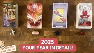 2025 Your Year in Detail!  