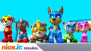 PAW Patrol, Patrulla de cachorros | 30 minutos de las mejores misiones de Paw Patrol | Nick Jr.