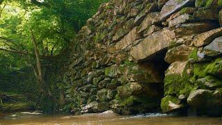 Exploring the Outdoors in Randolph County