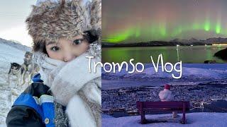 Tromso Vlog | Welcome to the wonderland  Norway in winter: whales, northern light & dog sledding 