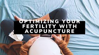 The Healthy Baby Approach - Fertility Acupuncture in Tampa, FL