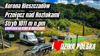 Stryb: Cicha Wędrówka na Koronę Bieszczadów | Kamperem na Dziko