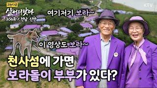 (살어리랏다)(306회) 우리 삶에 다가온 1004! 보랏빛 향기 koreatv, museum, purple island (전남 신안)